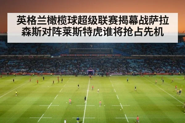 rugby stadium crowd